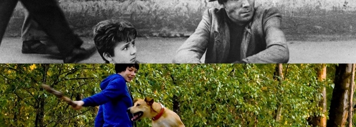 Bicycle-Thieves-1600x900-c-default-cropcrop-vert